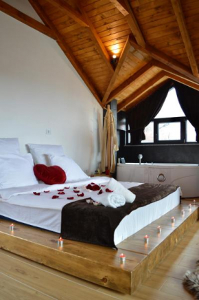 Ren Villas Mavrovo